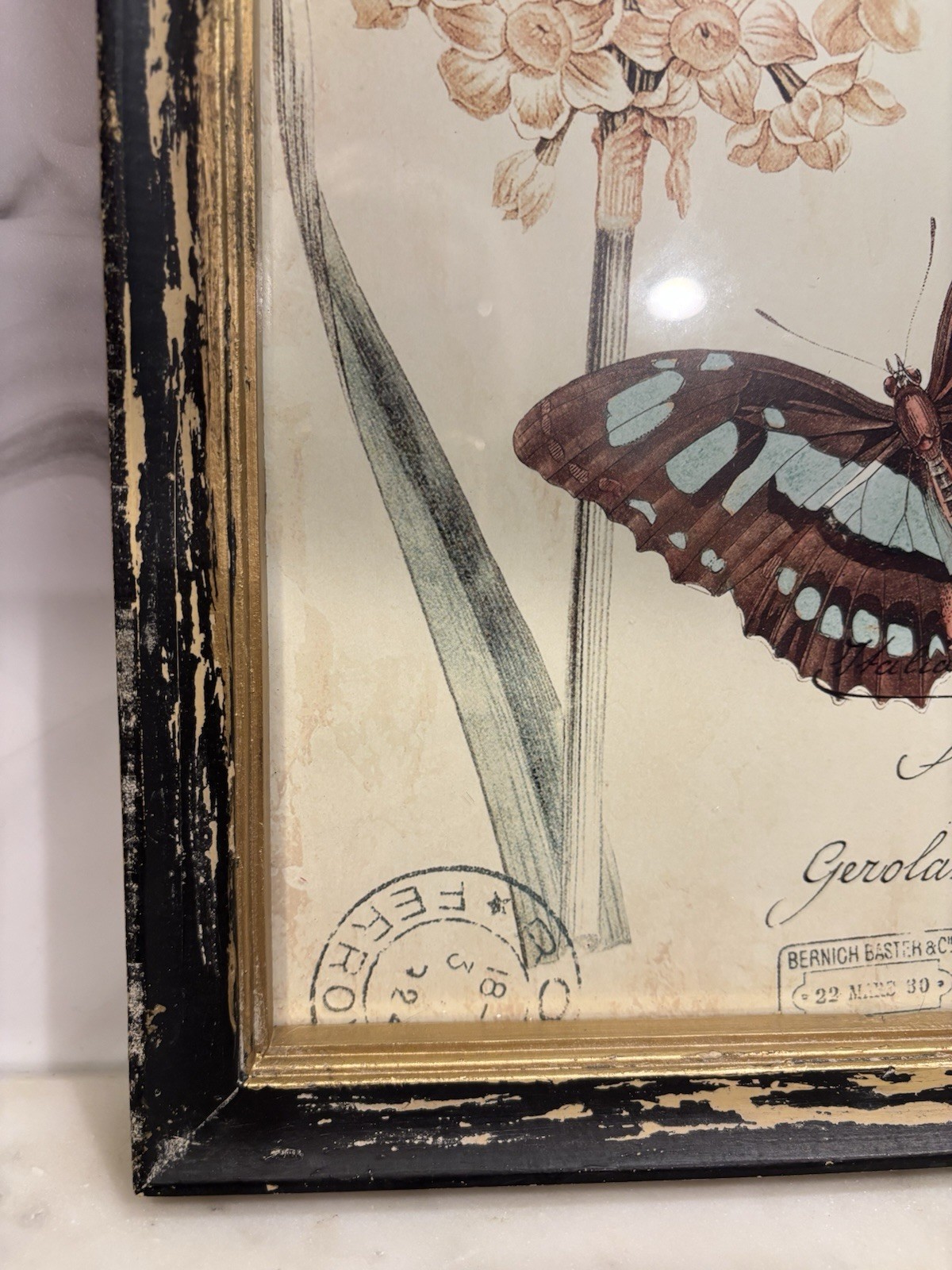 Vintage Style Butterfly & Floral Garden Room Wall Art Decor, Shabby Chic