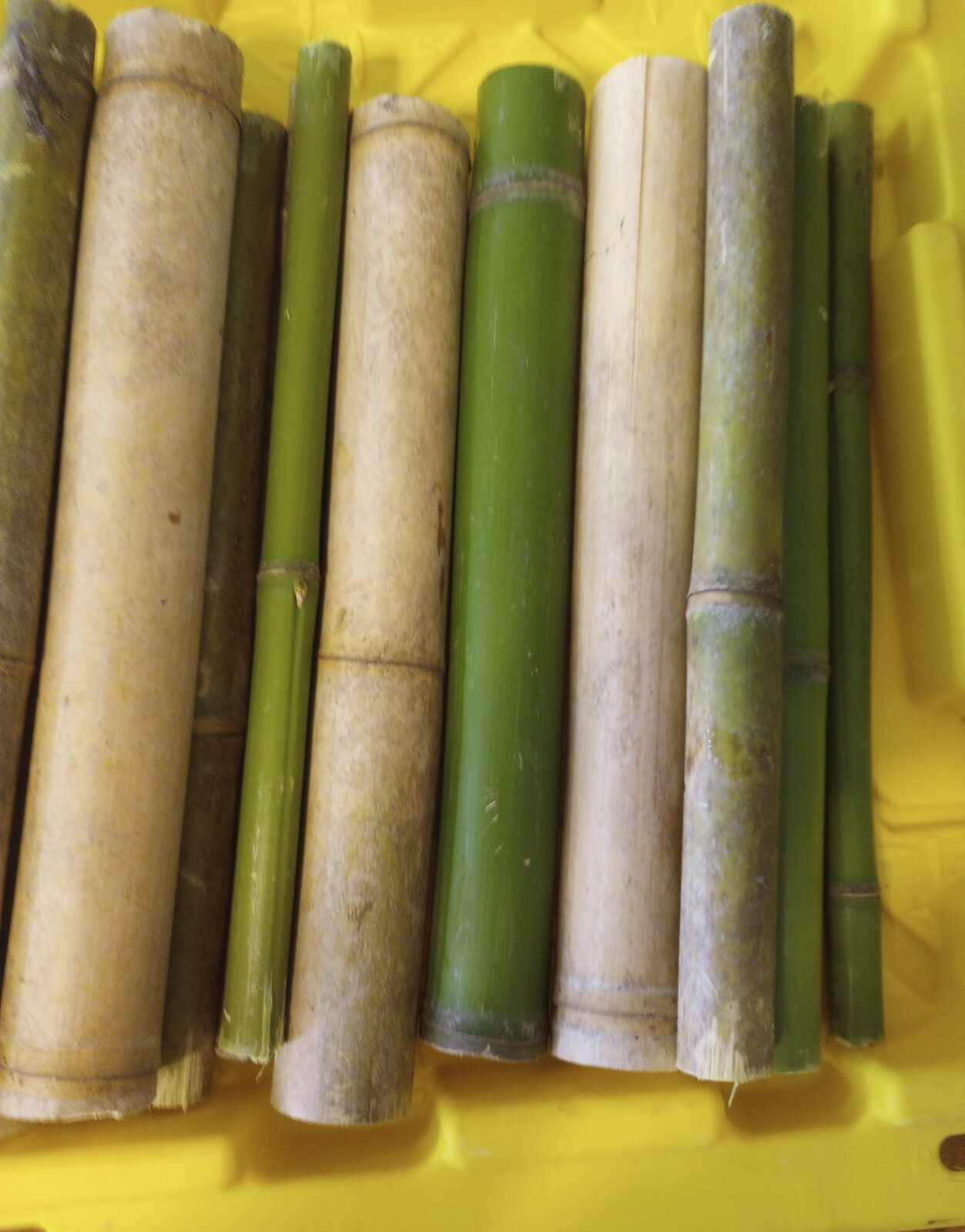 5 Bamboo Stick 1″ Diameter 12″ Long Pieces Pole craft Lot 1′ Long Decor Yard Art
