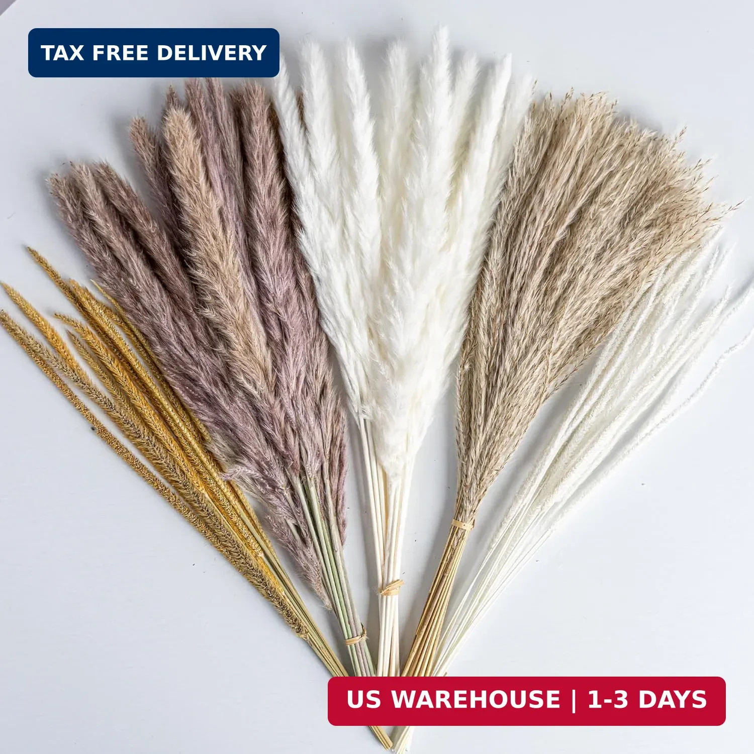 70PCS Natural Dried Pampas Grass Boho Home Decor Bouquet Phragmites Dried Flower