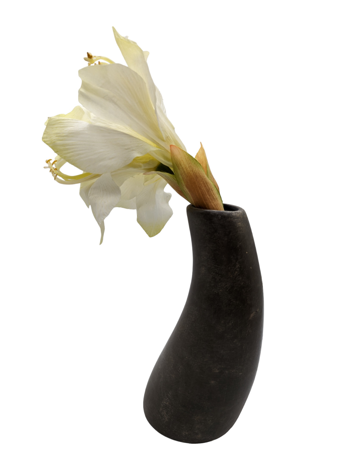 Rare Pier 1 Imports Ceramic Curved Potted Amaryllis Flower Home Decor 13 in