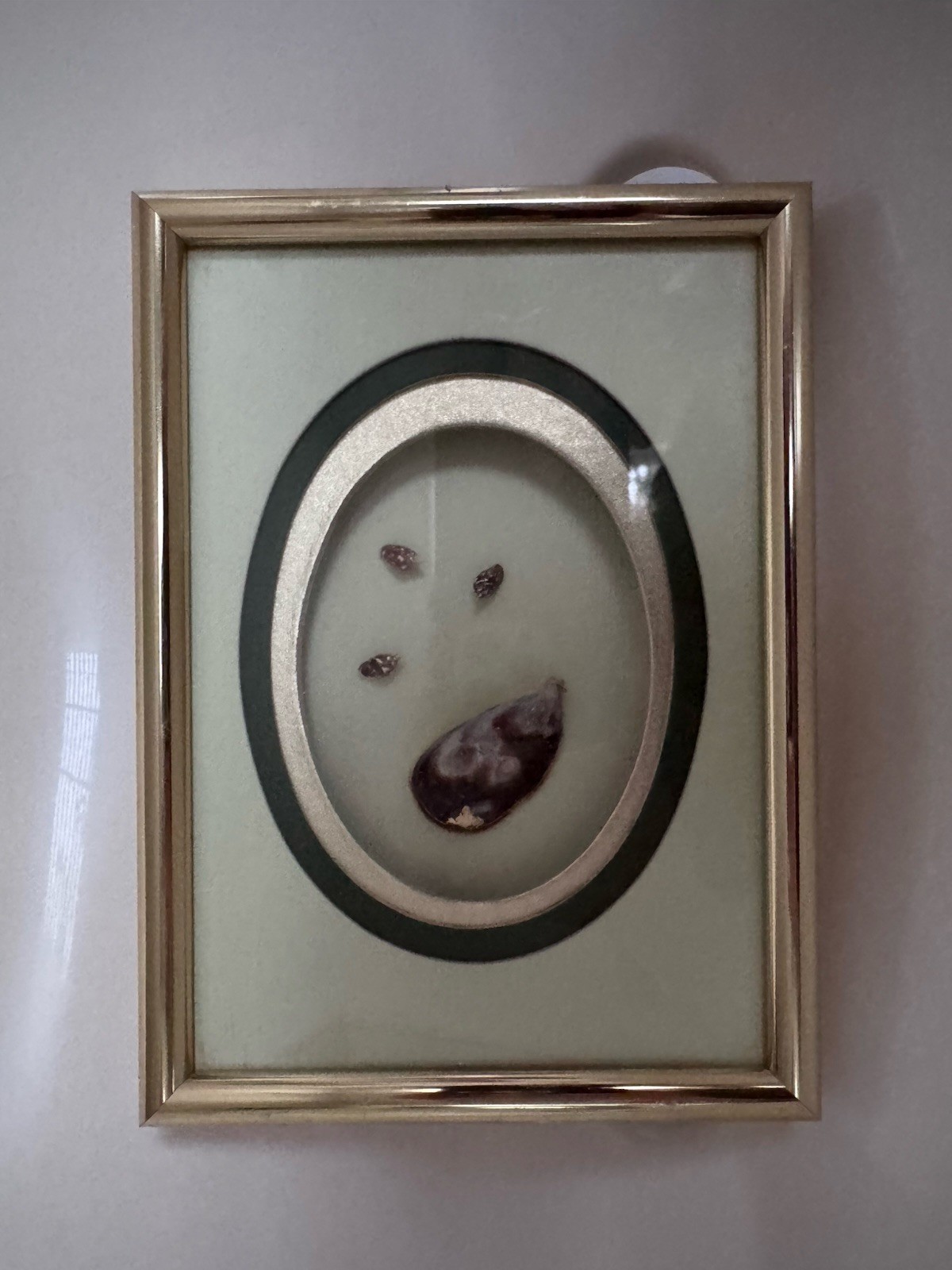 Vintage M&R Original Framed Shell Art Shadow Box Skokie IL Mid Century Coastal