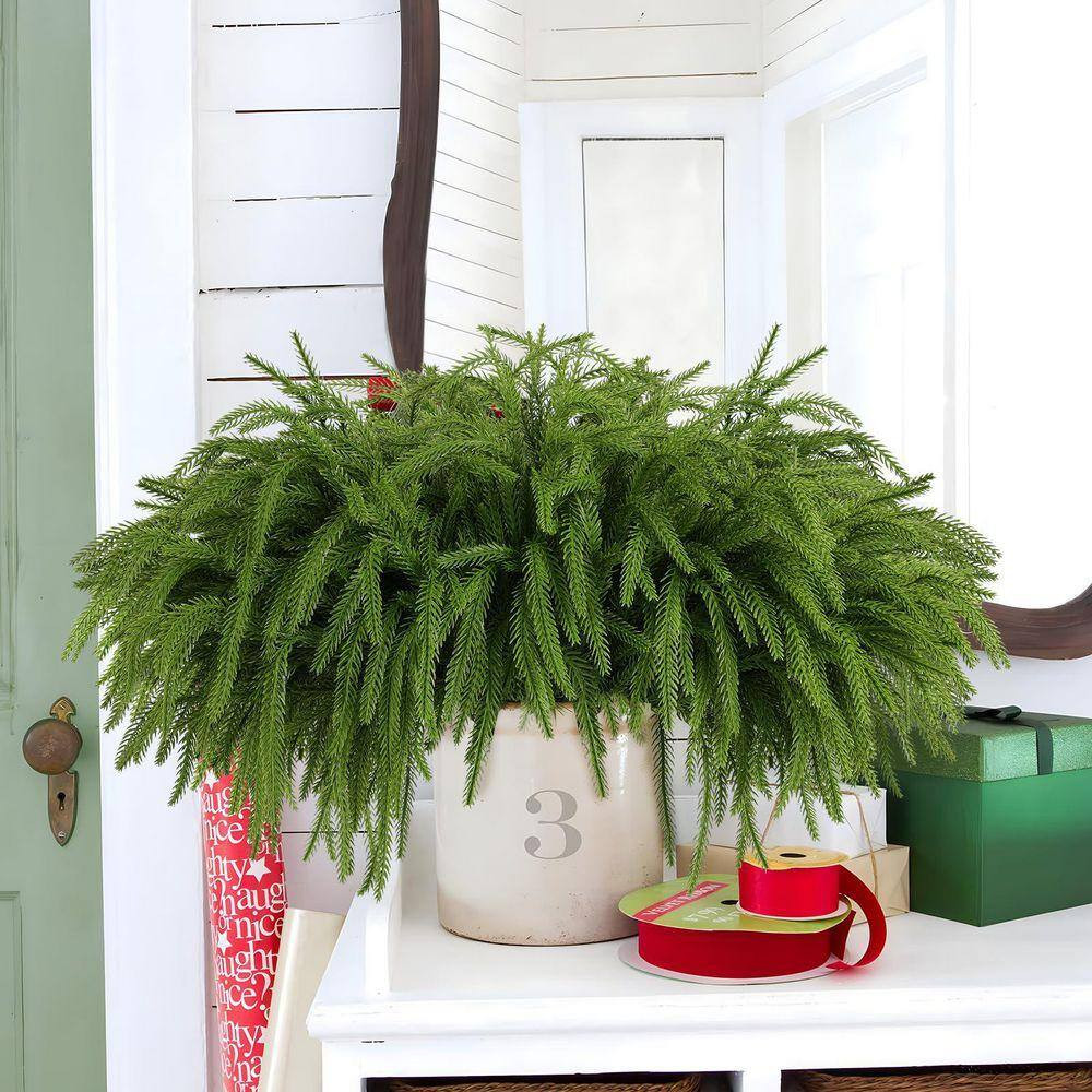 Norfolk Pine Series 17.7 In. Green Artificial Plant Pine Branches Faux Christmas