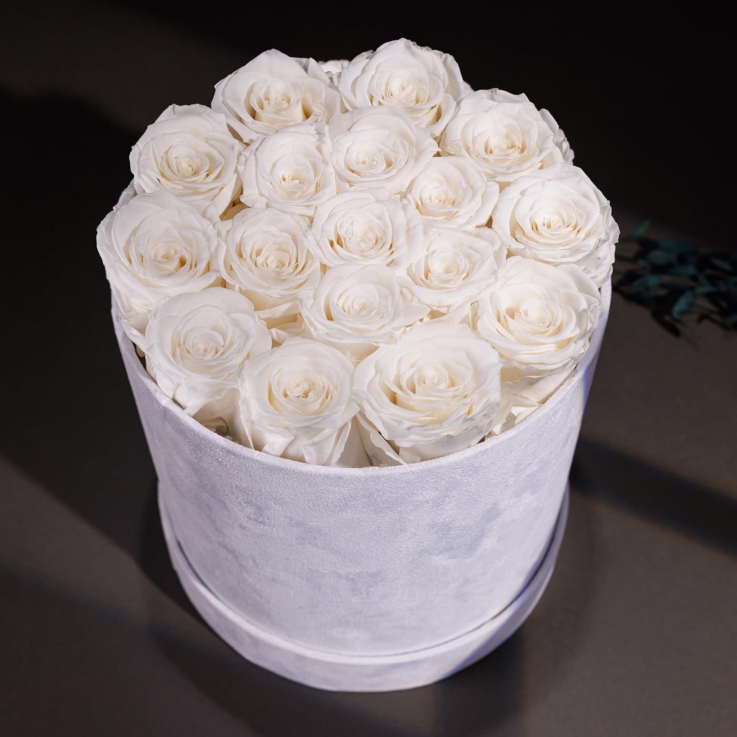 Luxury Suede Box with 17 Preserved Roses