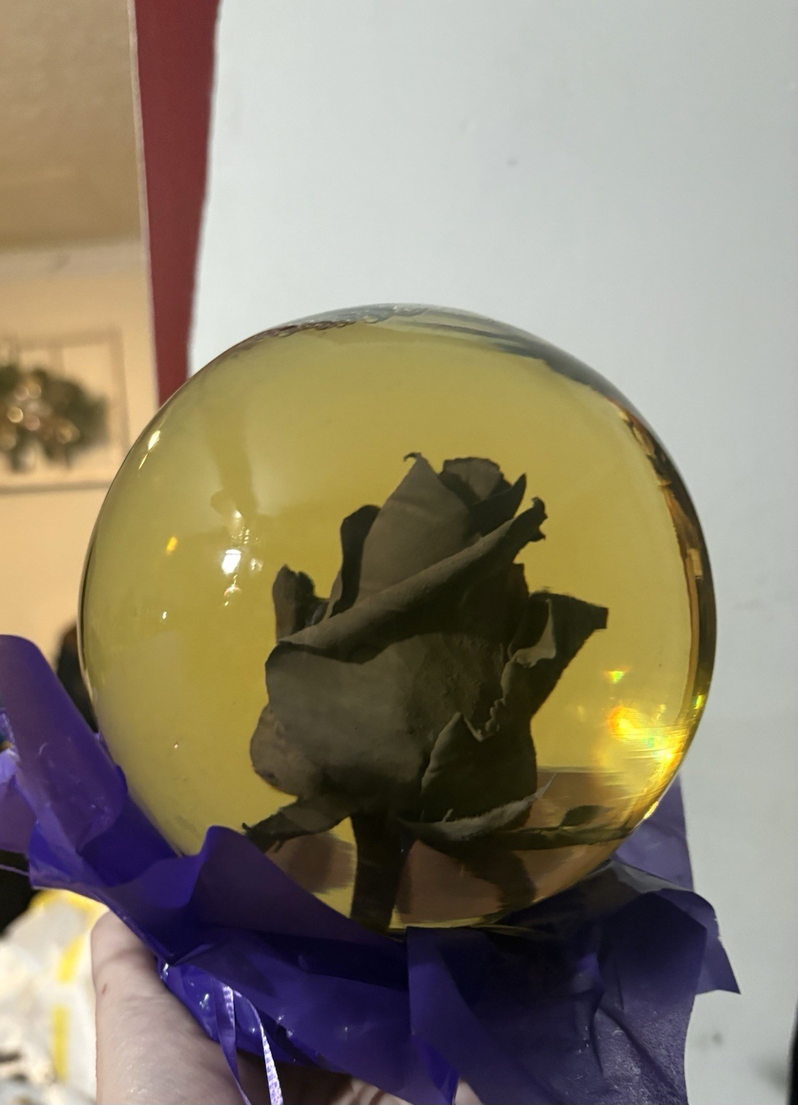 Forever Rose in a glass Water Globe Real Red Rose 5” D Purple Read