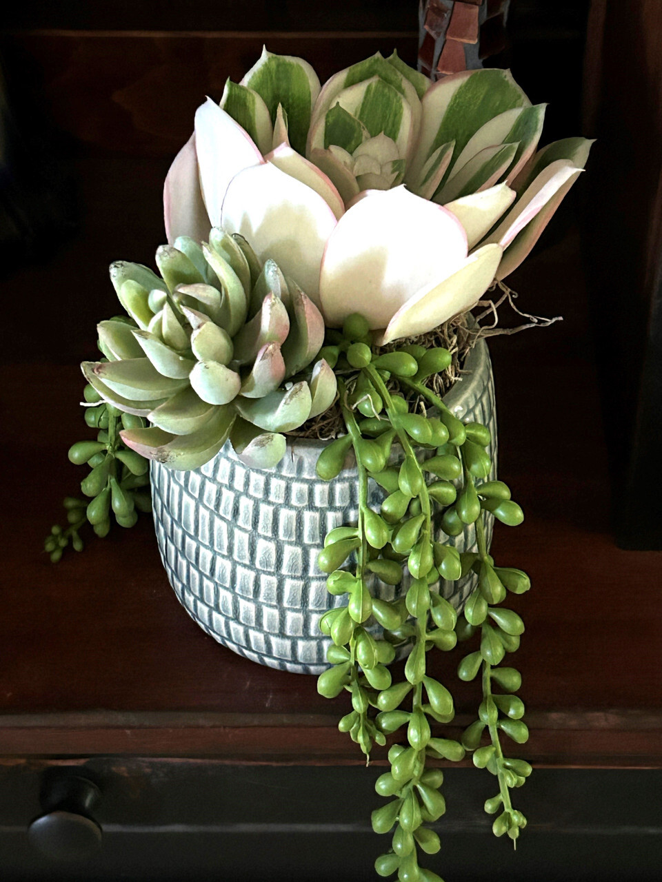 7″ Artificial White Succulent Garden #9 mixed arrangement, 4″ Teal-cream planter