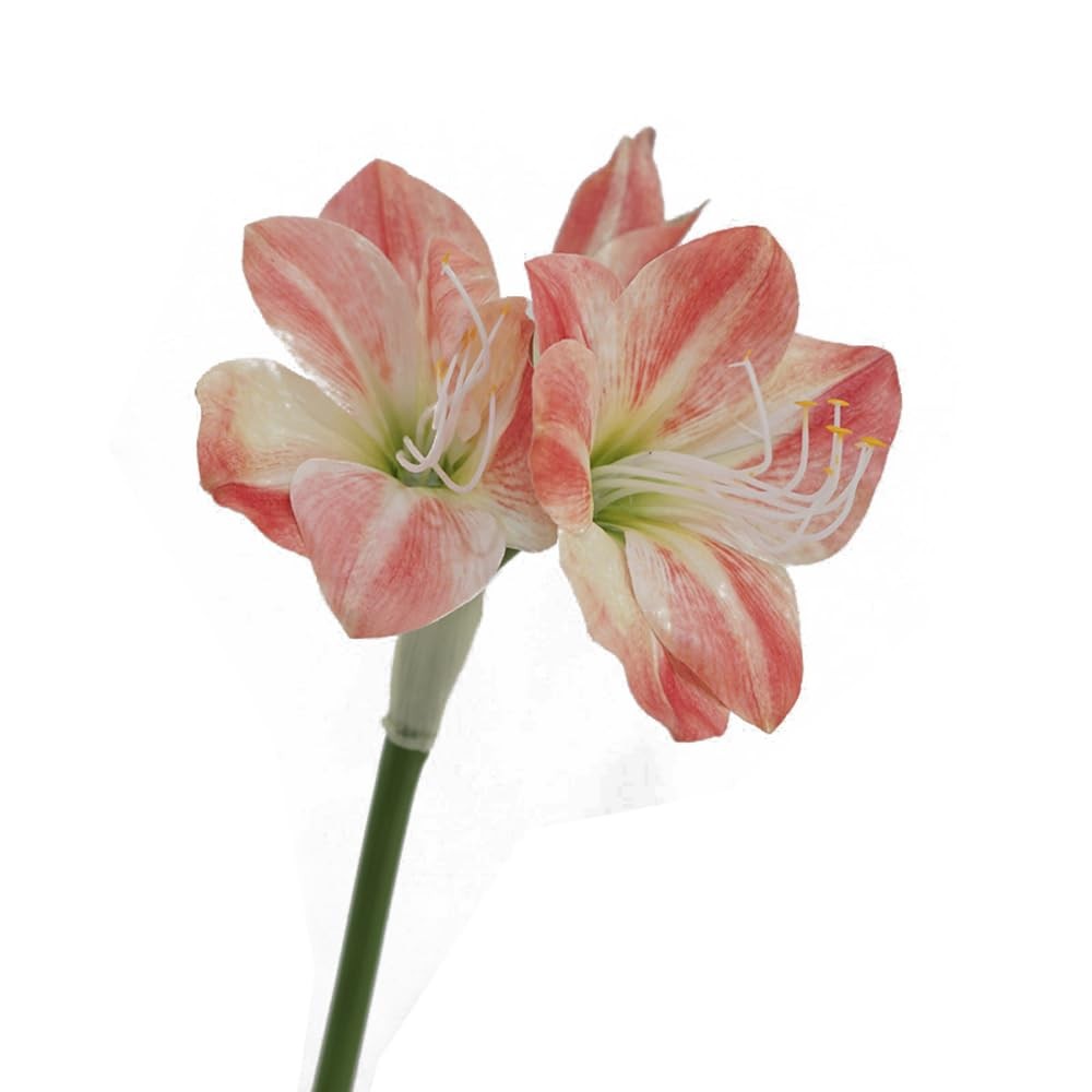 Artificial Amaryllis Flowers, 21.5 inches, Red, White, Pink, Set of 3, Faux L…