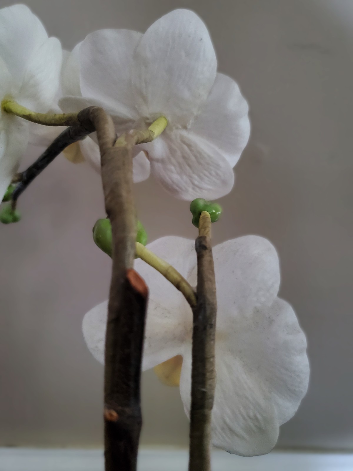 Artificial Flower Arrangement White Phalaenopsis Orchid 16″ in 6x6x2.5 black pot