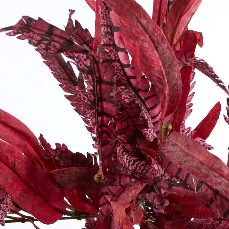 Red and Purple Feather Bush