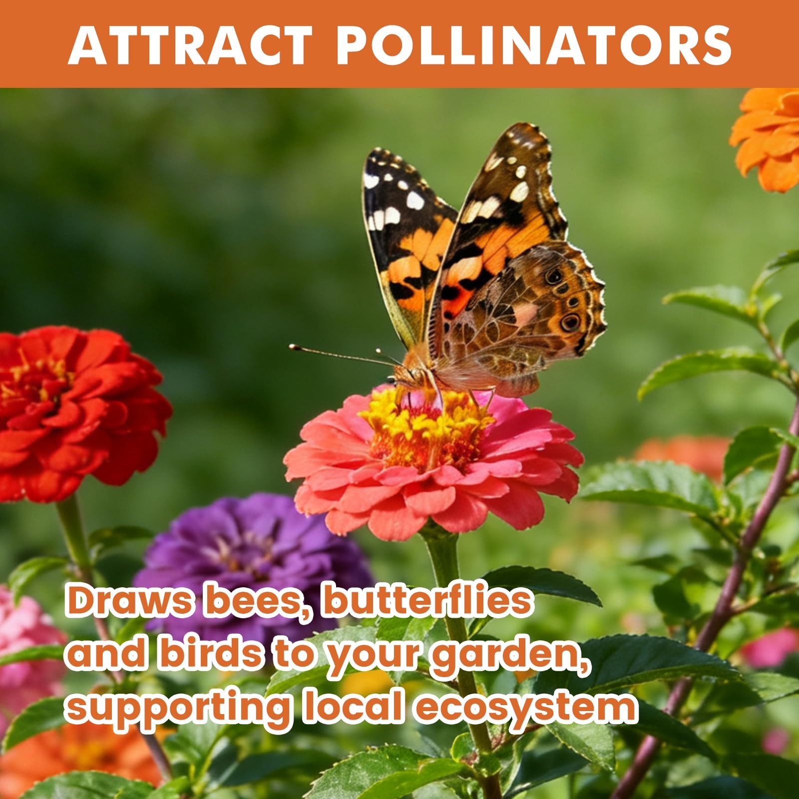 Seeds for 2026 Planting, 5000+ Flowers Seeds, 7 Multi Color