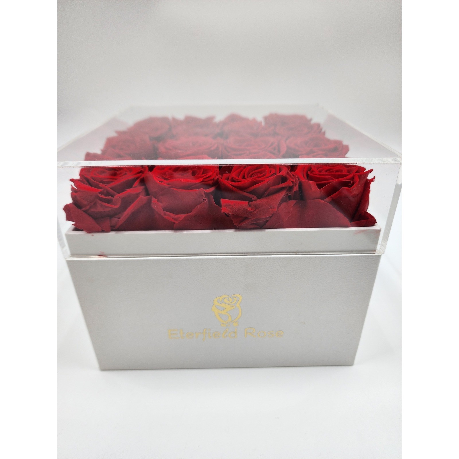 Eterfield Rose Preserved Red Roses in White Square Box with Acrylic Lid 16 Count