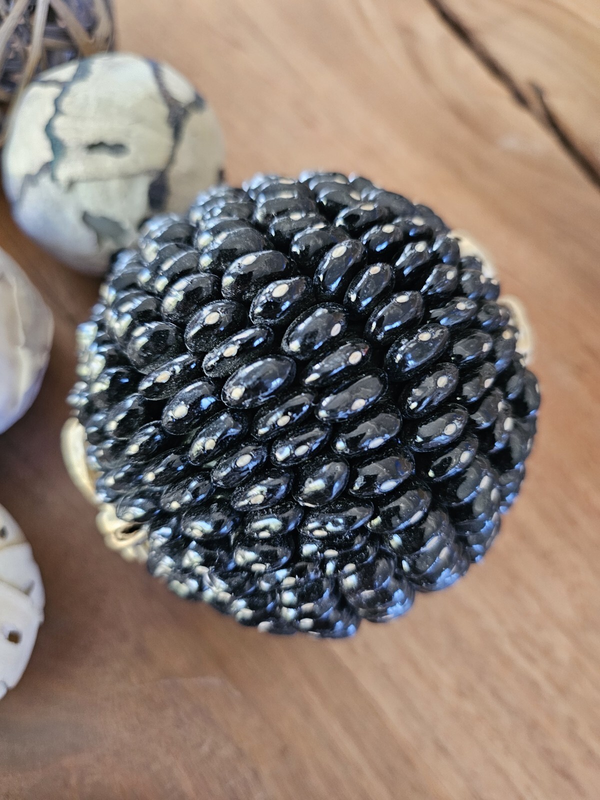 Natural Palm Leaf Branches Organic Orb Vessel Filler Bundle