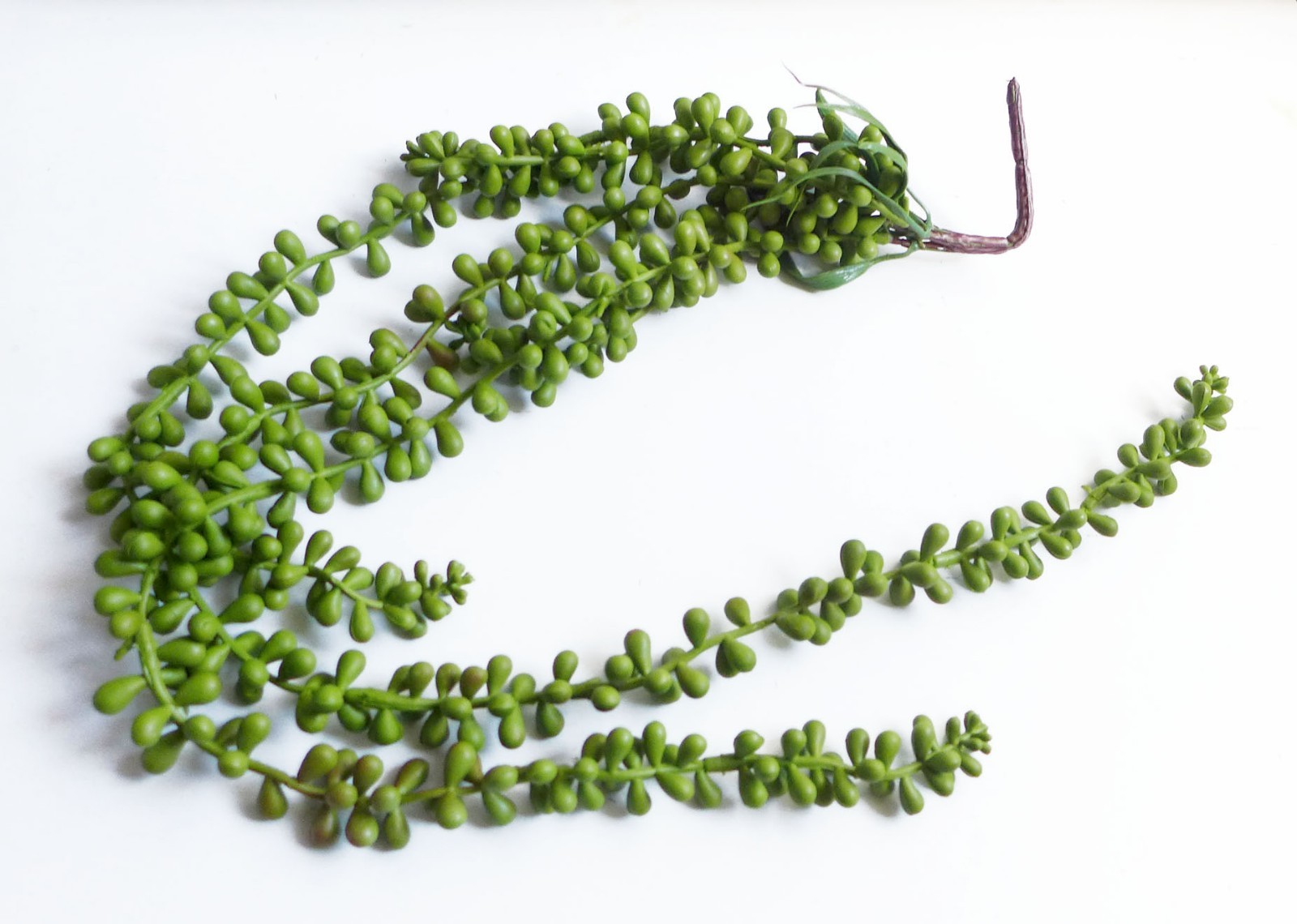 Set of 5 Pcs Pearl Bead Hangings Artificial Plant Plastic Home Wall Decoration
