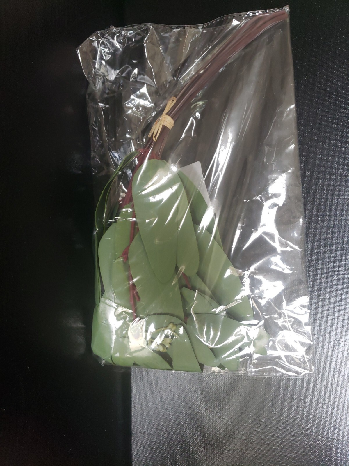 Woooow Artificial Eucalyptus Long Oval Leaf Stem Eucalyptus Spray Set of 8 Green