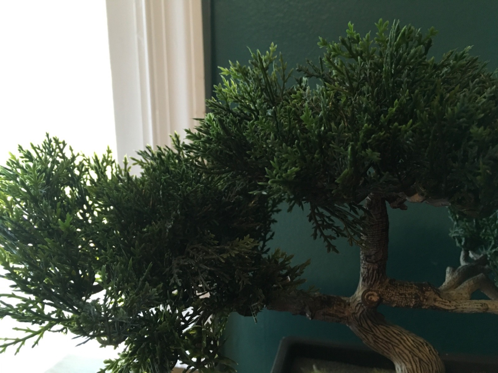 Garden Artificial Bonsai Tree Faux Pine Potted Plant 9 X 12 wide