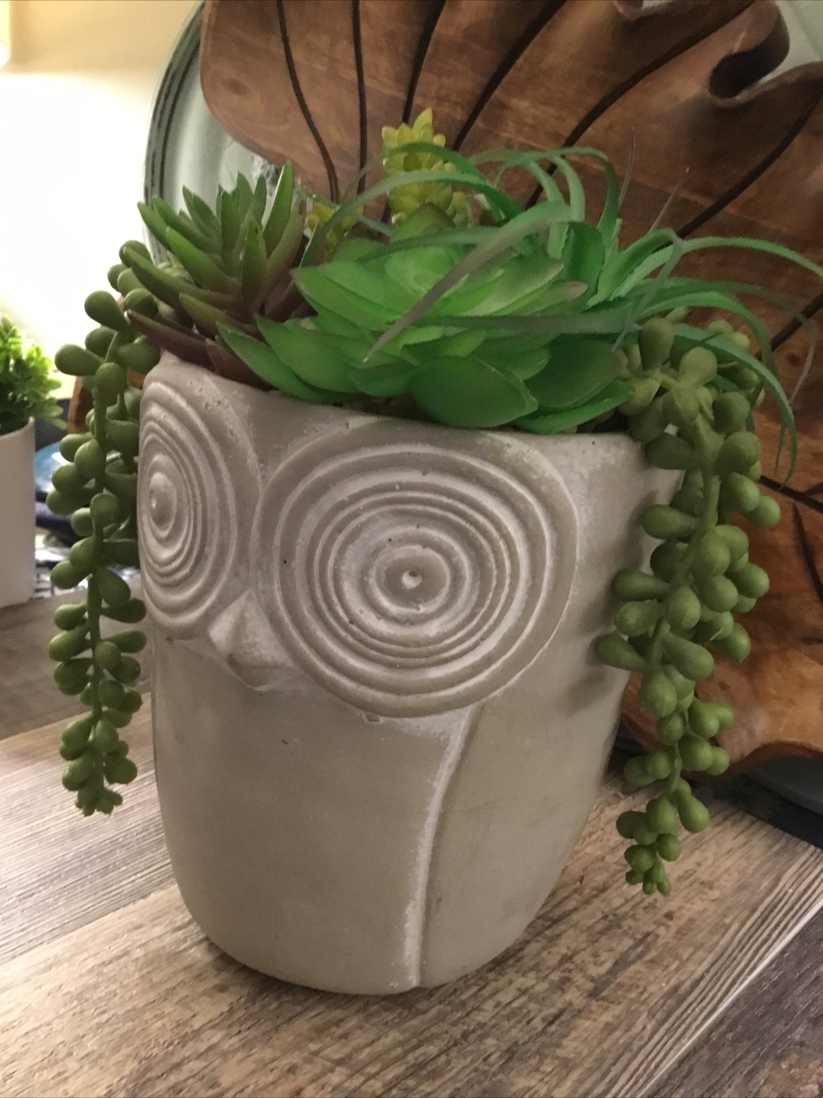 Owl large pot with faux succulents 6 1/2” High Bohemian Mod Owl Lovers Gift