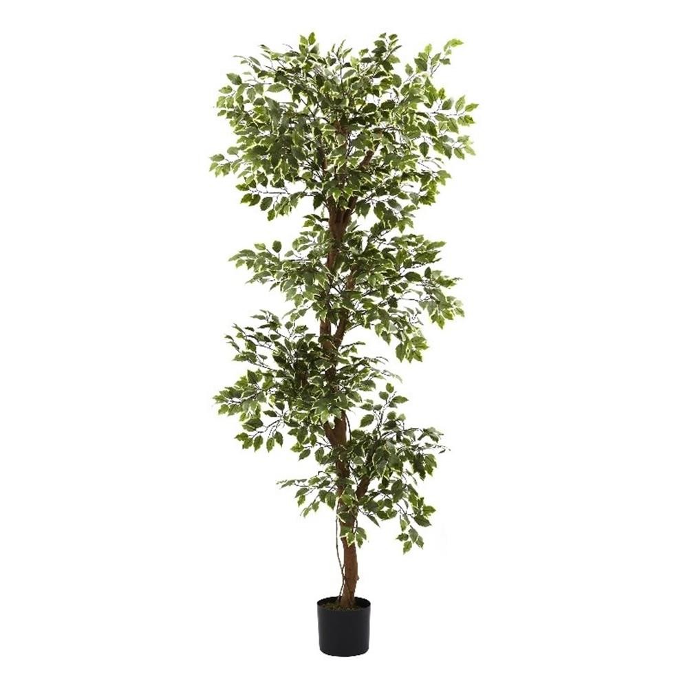 Nearly Natural 72″ Variegated Ficus Tree with 1944 Silk Leaves in Green/Black