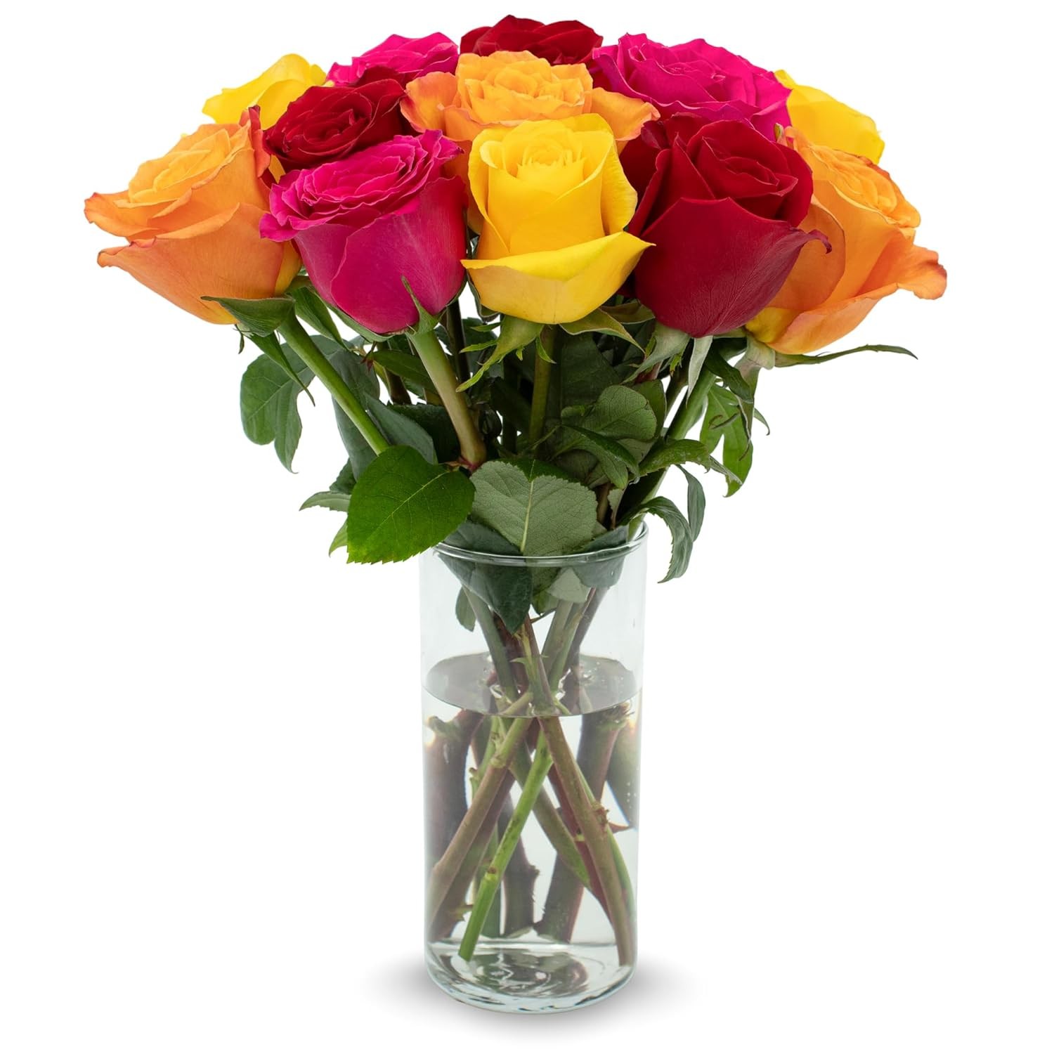 Rainbow Roses Bouquet 12 Stems Fresh Cut Flowers Delivery Gift