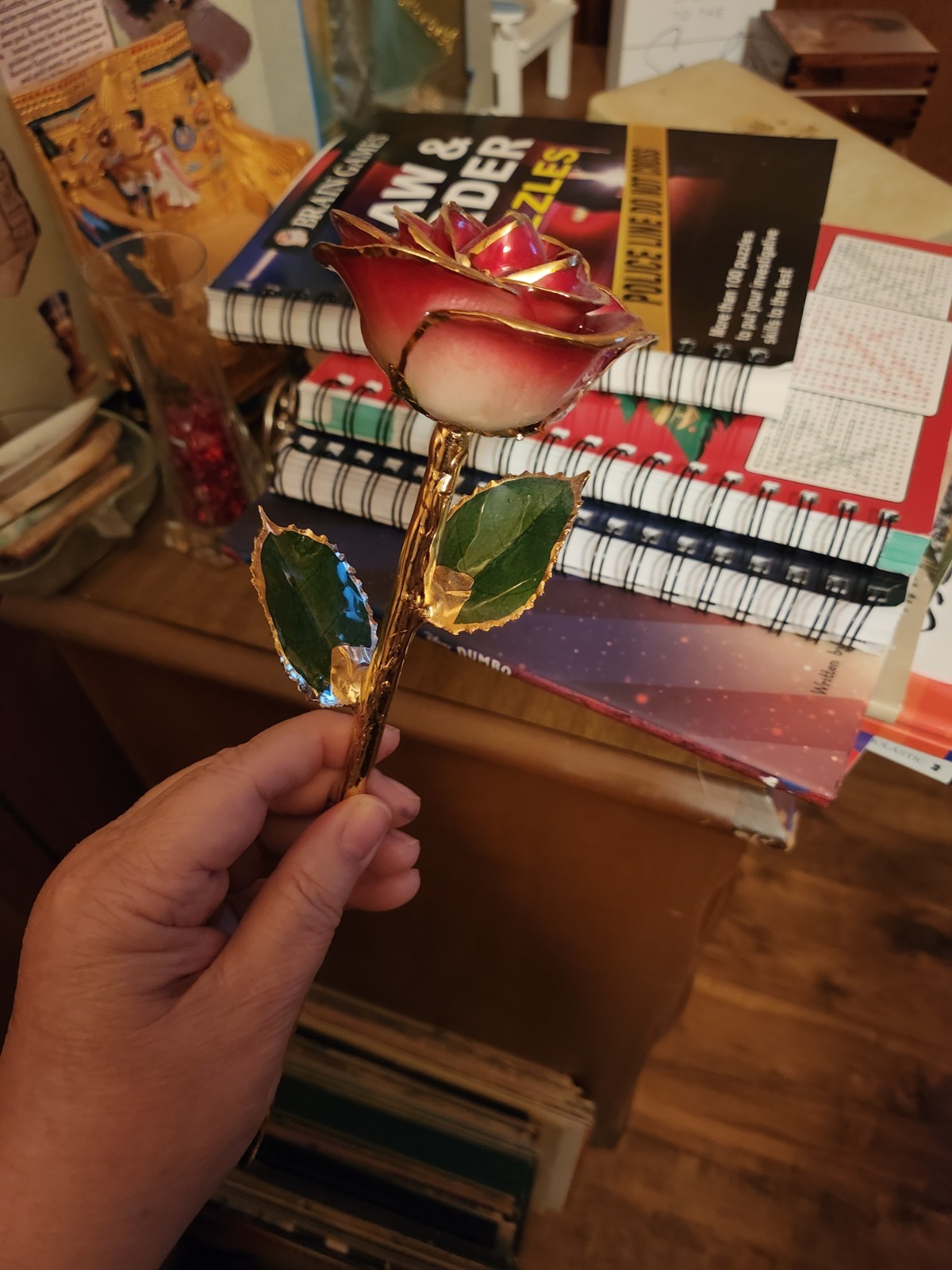 24k Gold Dipped Gold Red Opened Long Stem Rose
