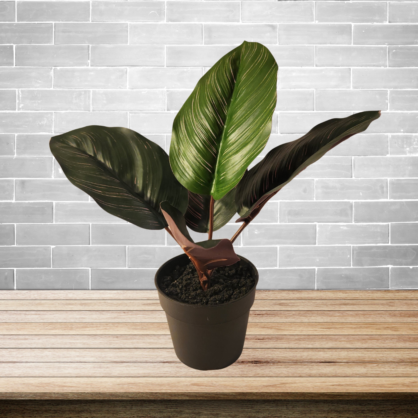 Calathea Prayer Plant Ashland Artificial Plant Decor Potted Plant