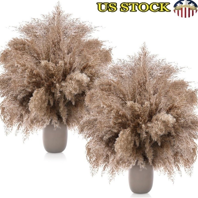 Dried Pampas Grass Bulk Fluffy Natural Decor Weddings Parties Home Office New