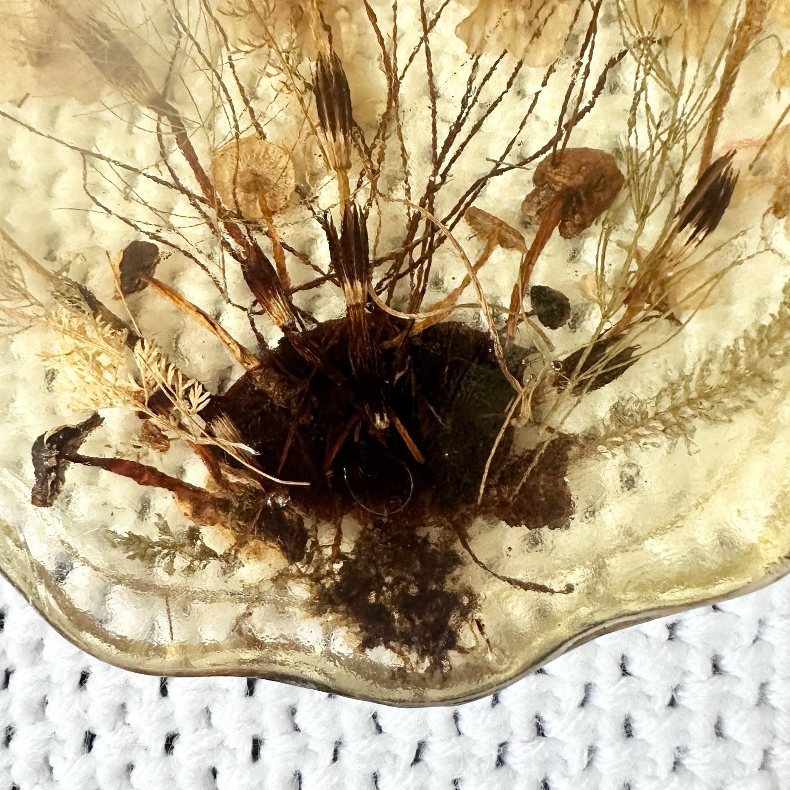 Resin Scalloped Edged Dried Preserved Pressed Wildflowers Seashell Wall Hanging