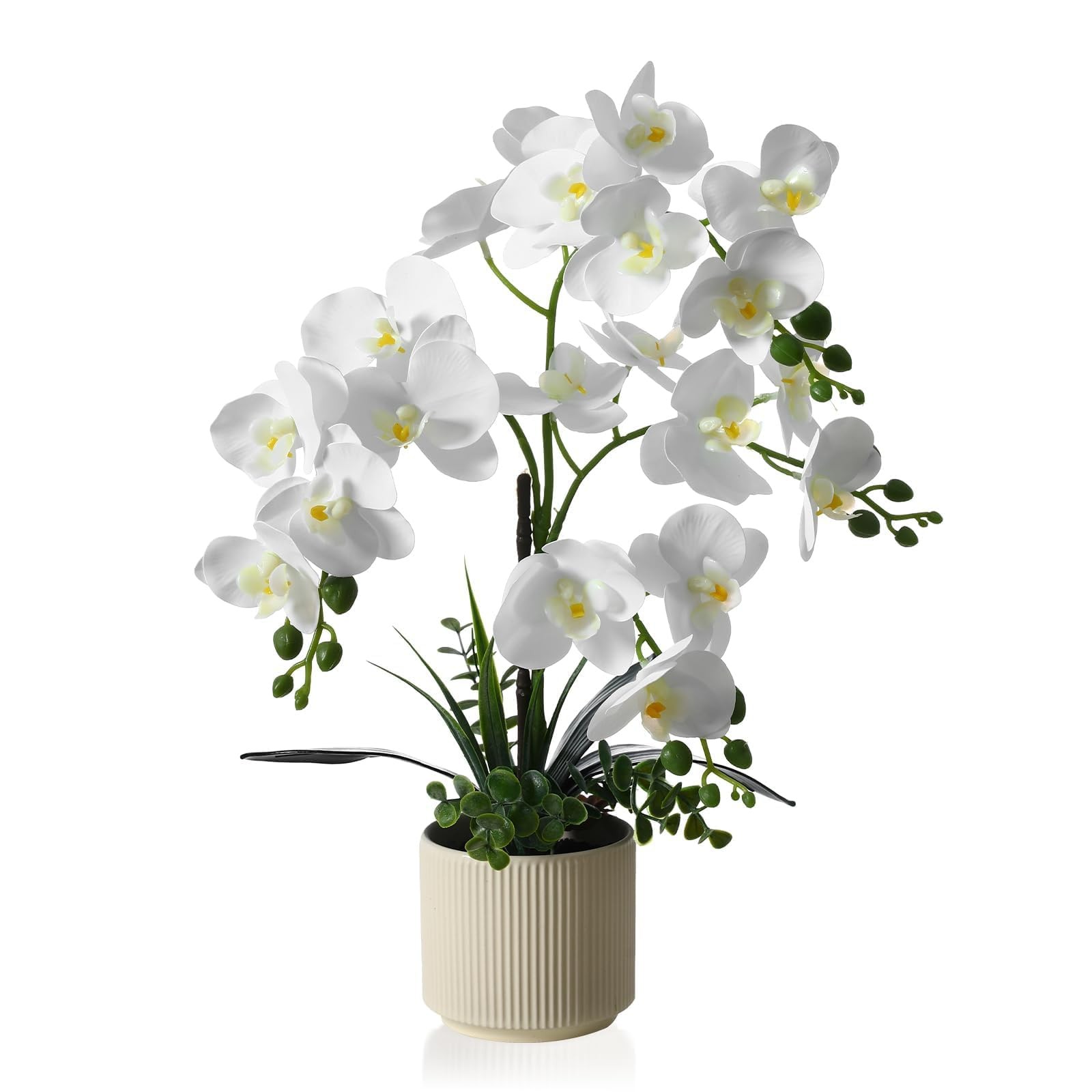 Upgraded White Artificial Orchid Flowers with Ceramic Vase Fake Orchids Real …