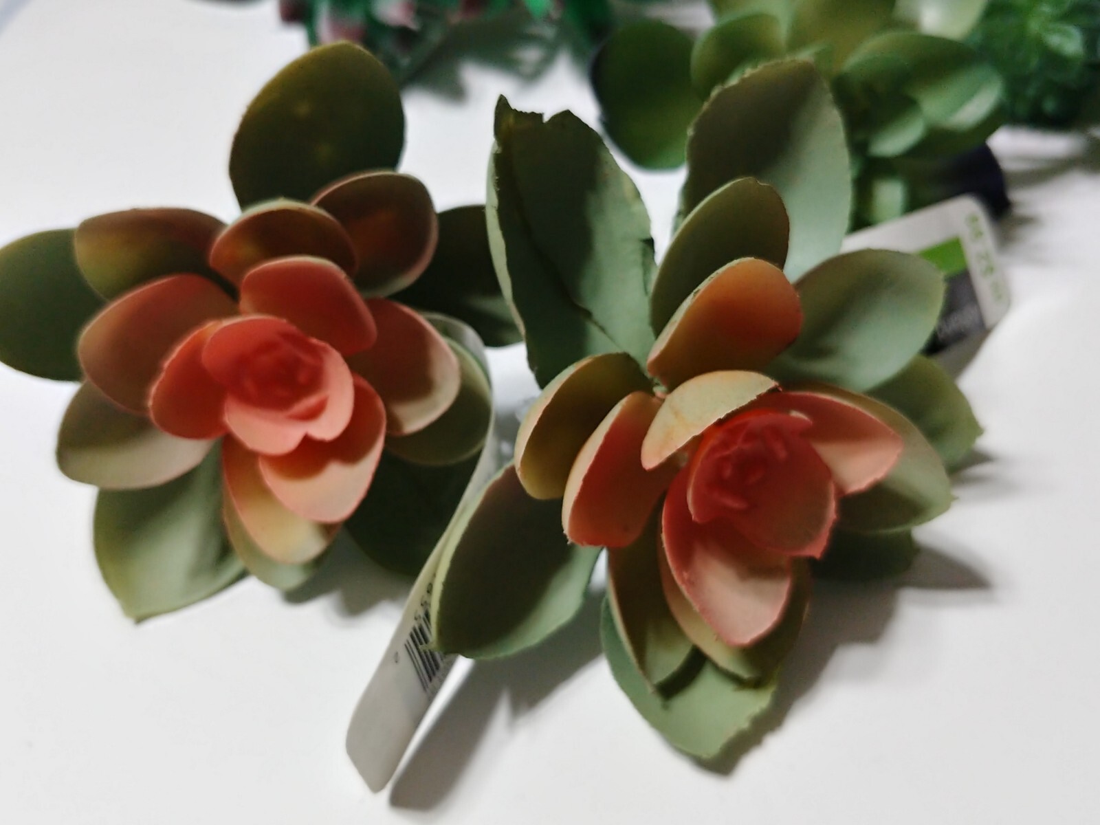 Lot of 16 Ashland Succulents Greenery Floral Picks Sizes 1.5″ to 11″ Craft Decor