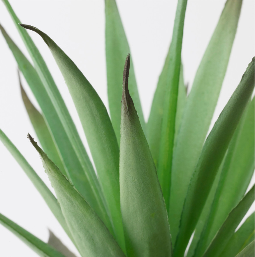 IKEA FEJKA Artificial Potted Plant With Pot, In/Outdoor Succulent, 6 cm,2 23/64″