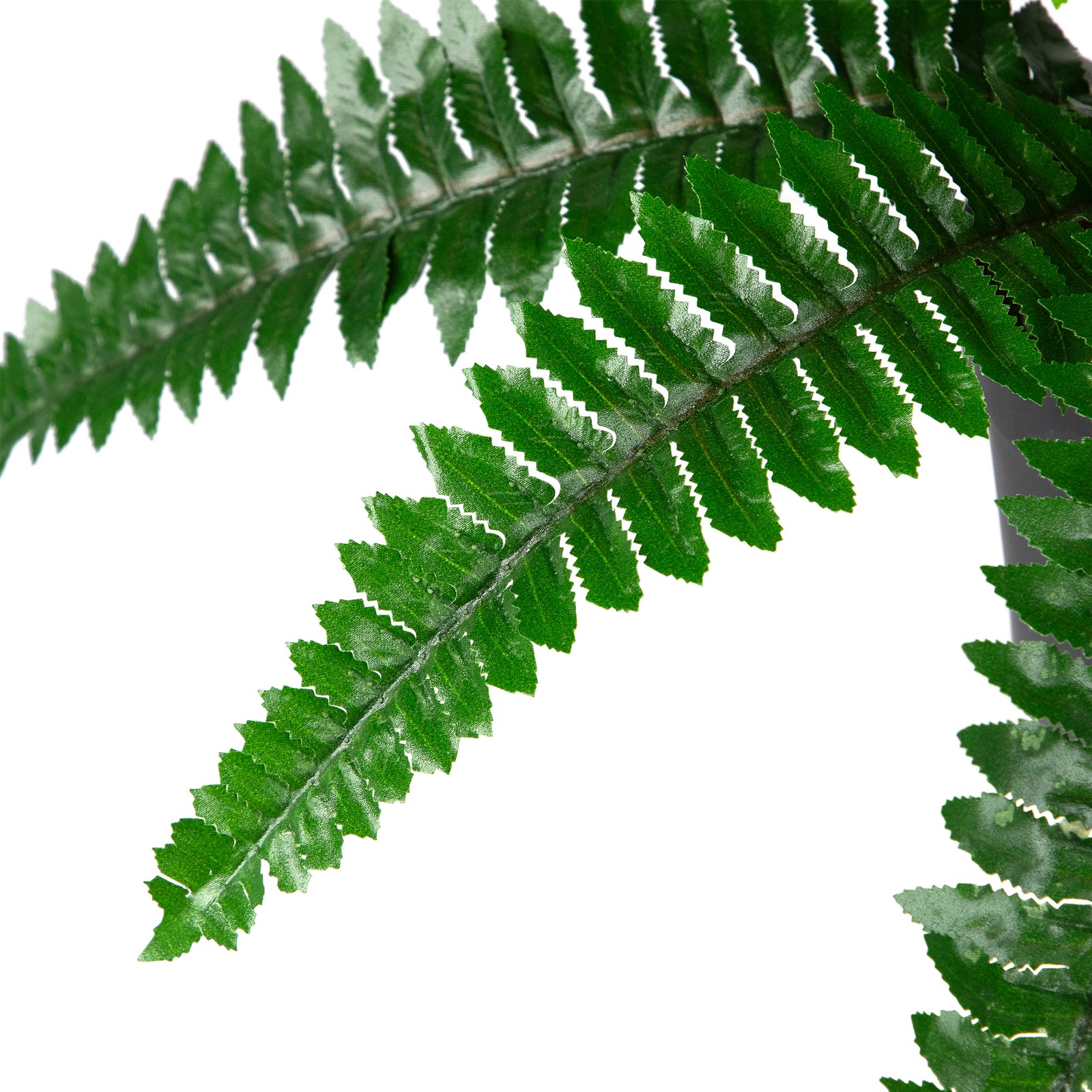 Northlight 15.75″ Potted Artificial Long Green Boston Fern Plant