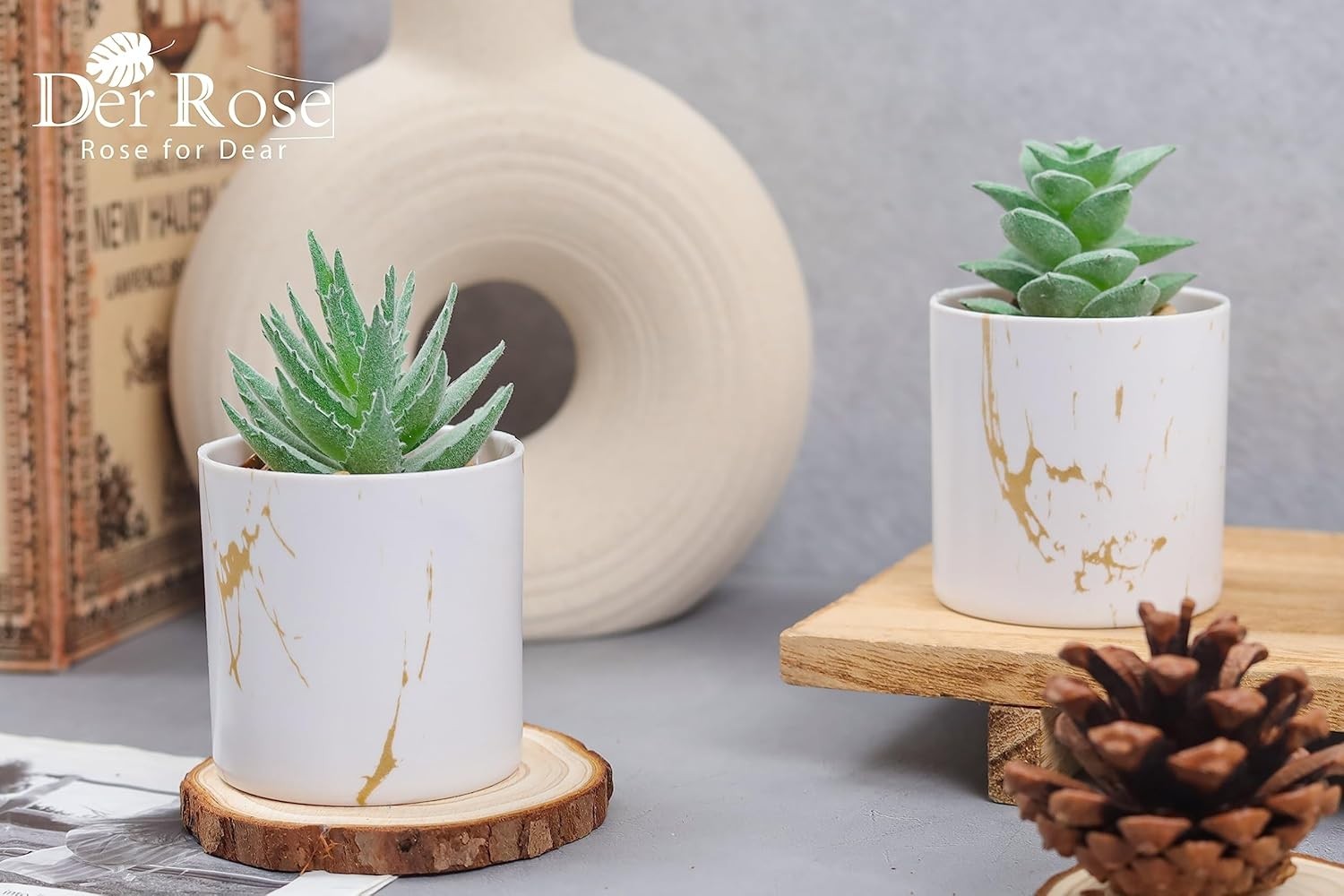 Set of 2 Eco-Friendly Artificial Succulents for Elegant Home and Office Decor
