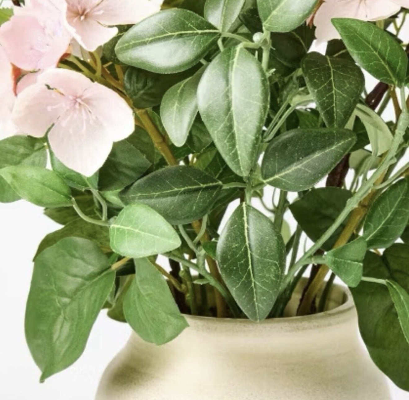Statement Floral Potted Arrangement – Threshold™ designed with Studio McGee