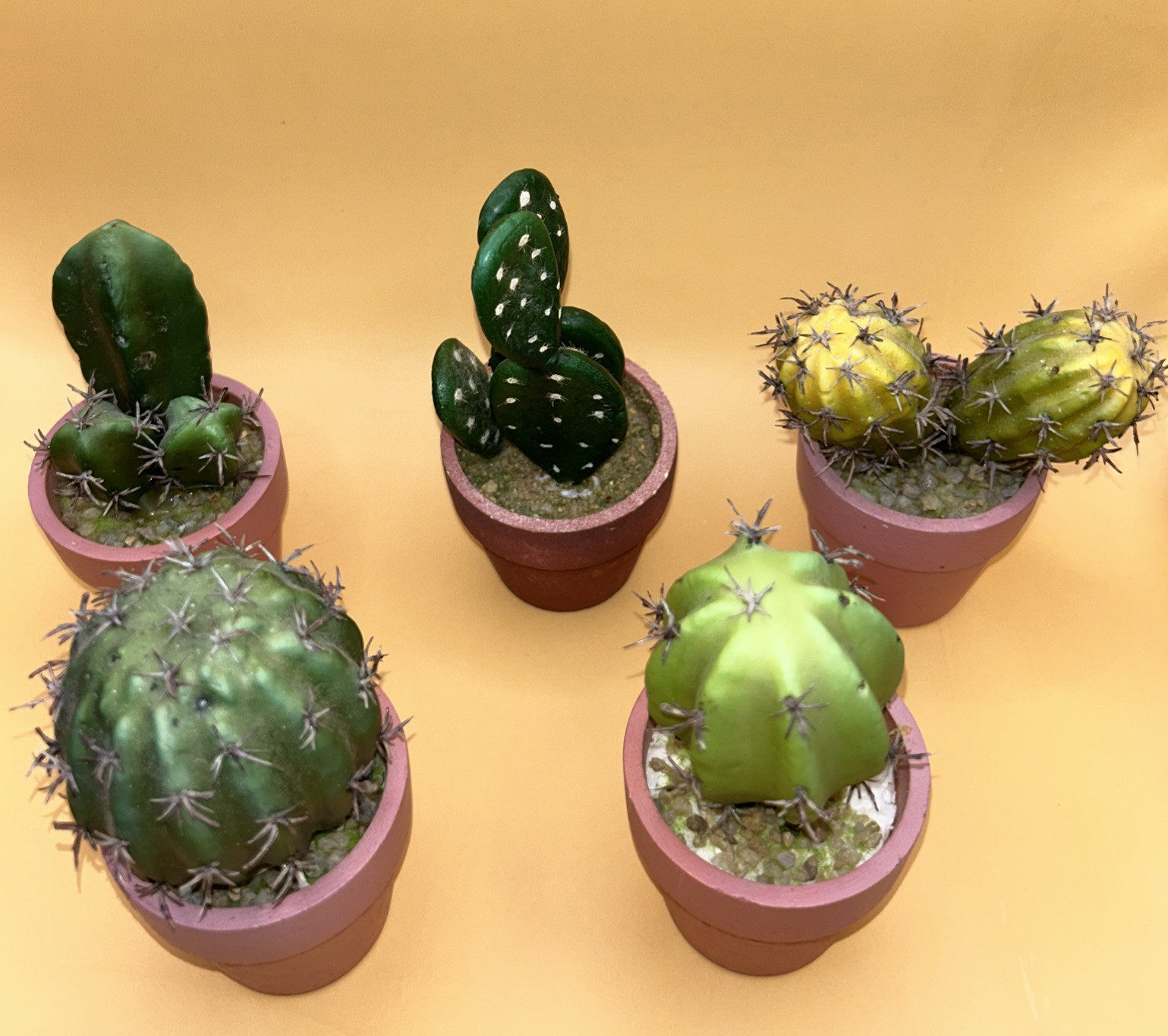 5- Artificial Cactus/ Succulent Plants 5”Tall, Terra Cotta Pots. Realistic