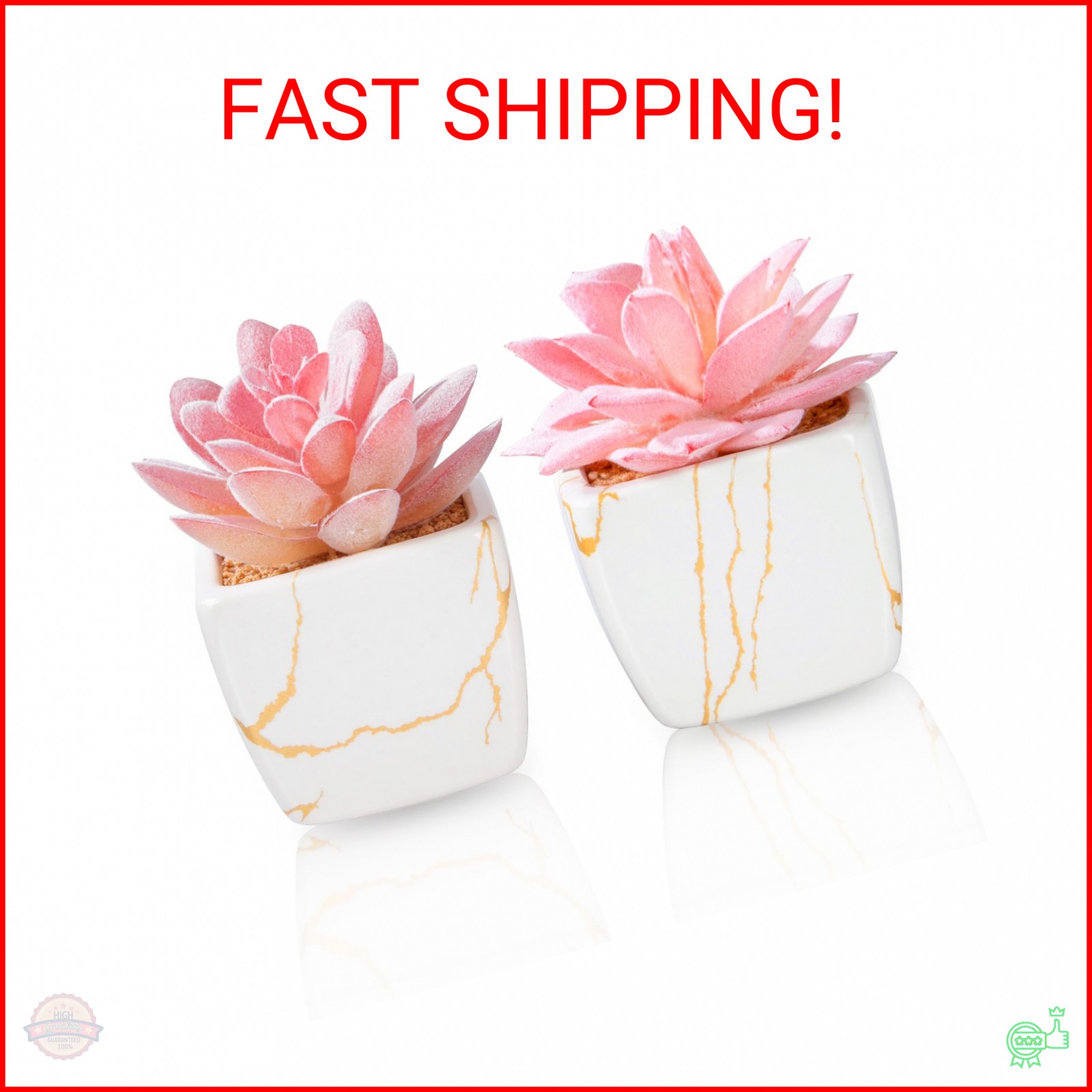 Taybonds Artificial Succulent in 2PCS White Ceramic Pot, Small Fake Succulents P