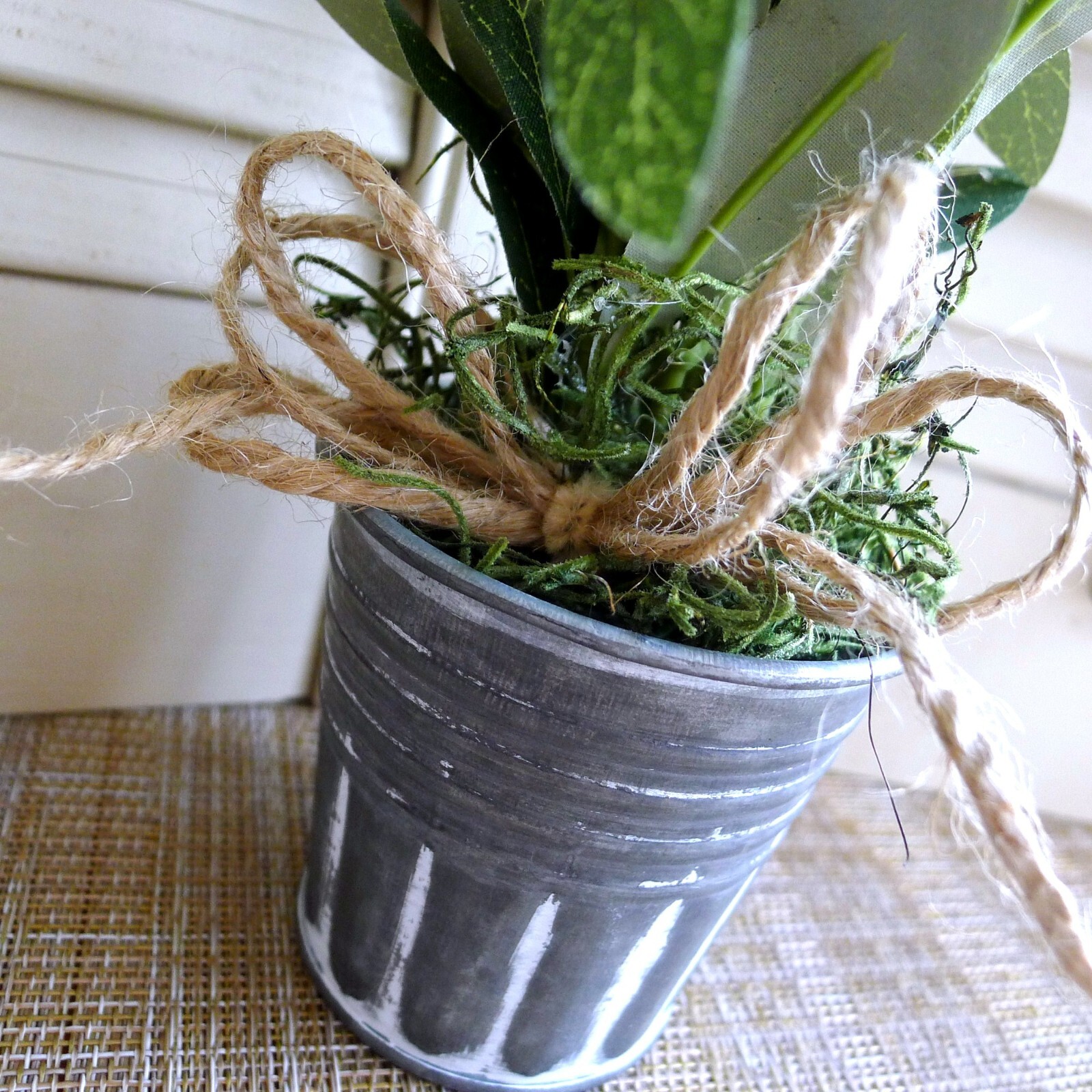 Olive Tree Branch Small Arrangement for Home Office Dining Restaurant Prop Decor