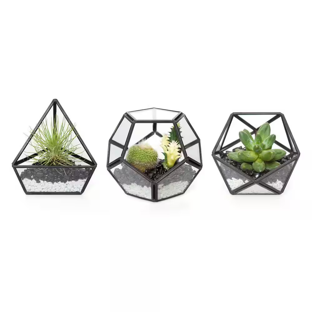 3-Pack 4 In. Mini Glass Tabletop Geometric Container, Modern Desktop Flower Pot