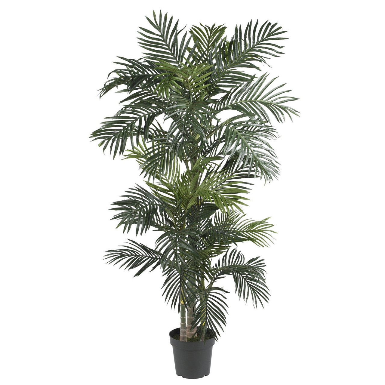6 1/2′ Golden Cane Silk Palm Tree