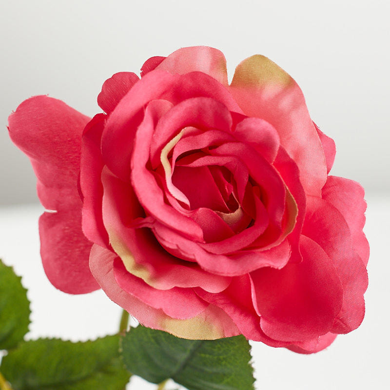 Set of 6 Beauty Pink Artificial 16″ Long Stem Open Rose Spray Bundles