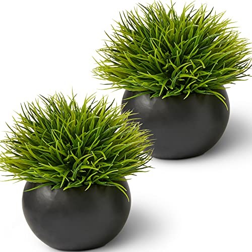 Fake Succulents Plants Artificial in Premium Ceramic Pots () 2 Pack Round