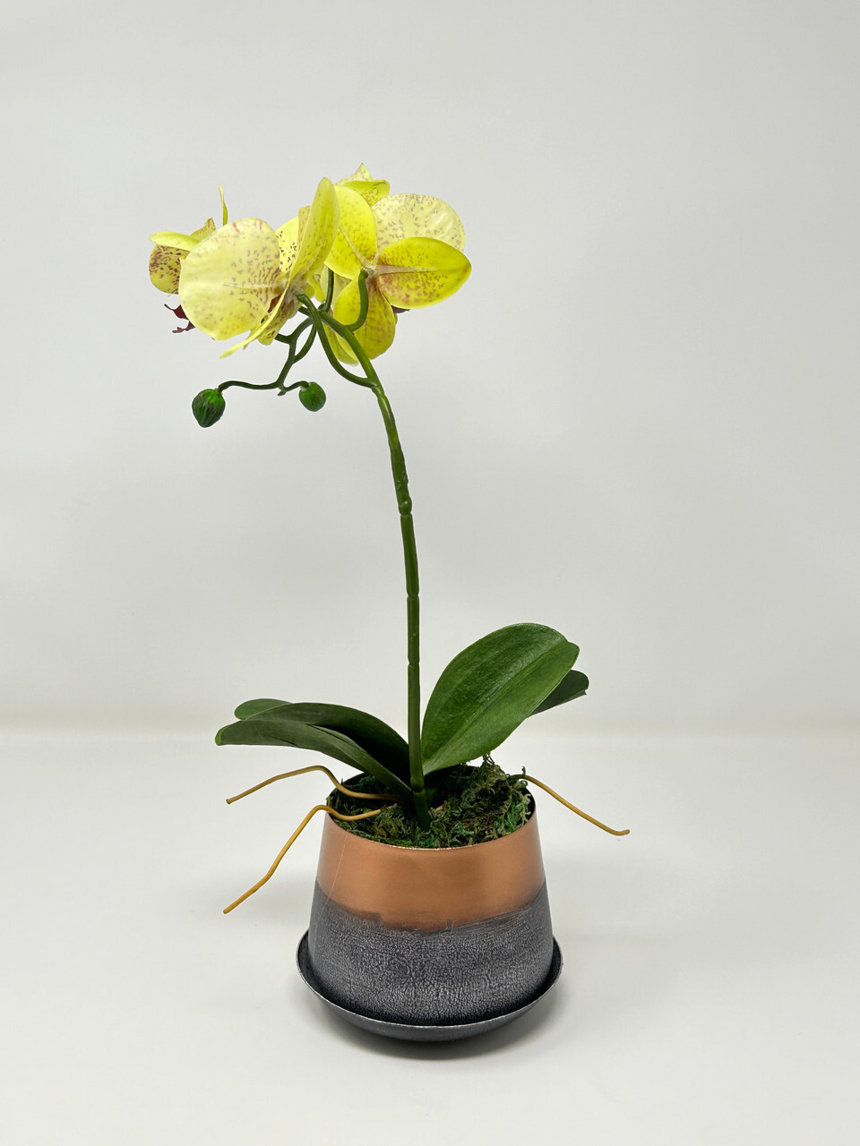 14″ Potted Yellow PHALAENOPSIS ORCHID faux Silk flower plant in copper metal pot