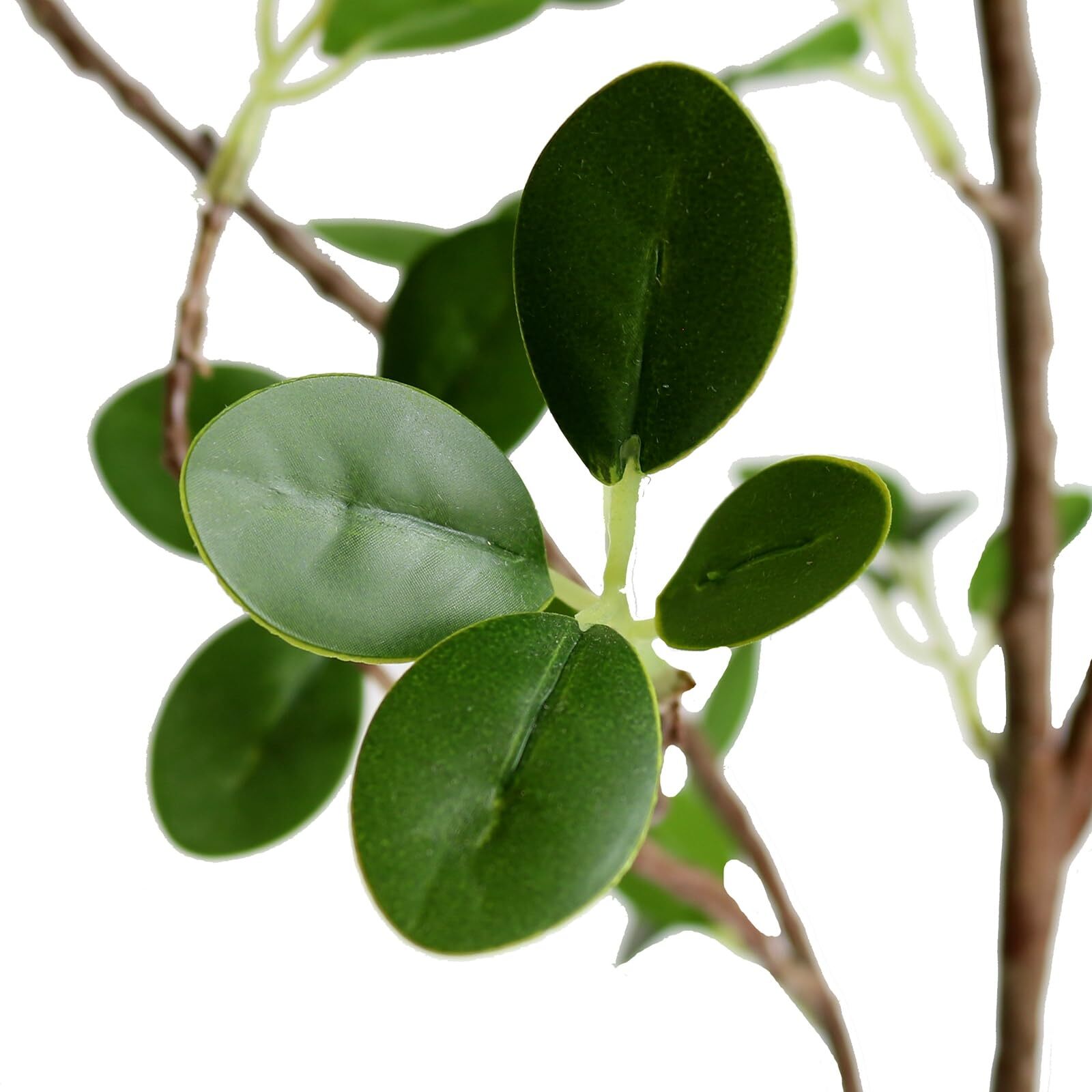 Artificial Eucalytus Green Branches Faux Ficus Twig Home Office Decoration (2…