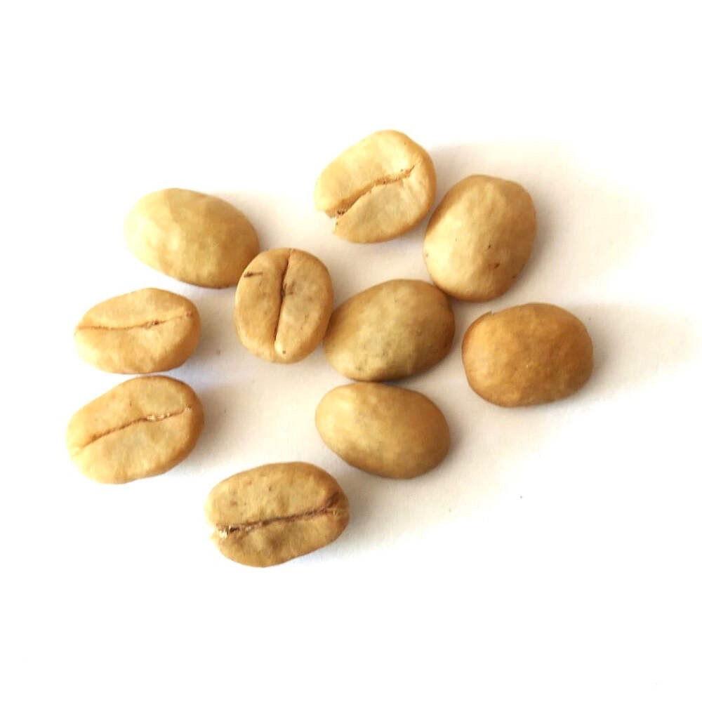 Coffea arabica ‘Obata’ SEEDS – Arabica coffee | Coffee plant