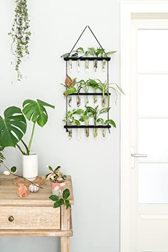 3 Tiered Wall Hanging Plant Terrarium with Wooden Stand Mini Test Medium Black