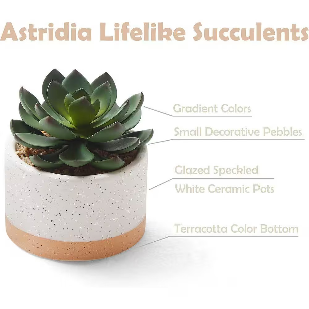 6.7 In. Green Indoor Artificial Succulent Plants in Ceramic Pots Set of 3