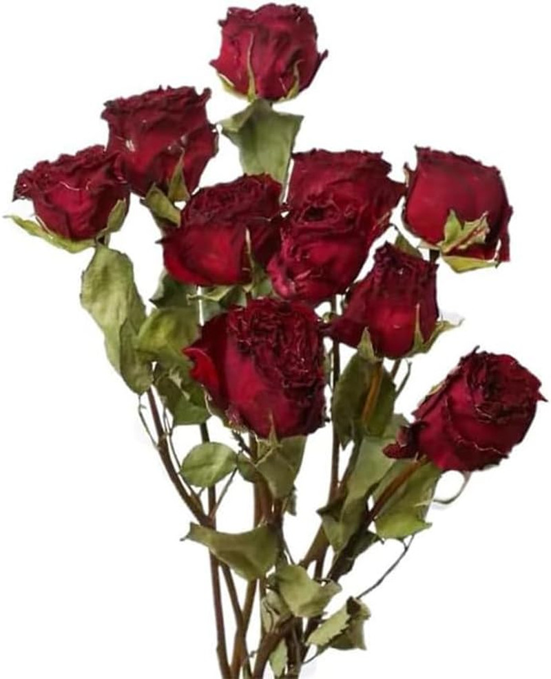 Natural Dried Flowers Bouquet, 10 Pcs Red Dried Roses Bouquet for Wedding Decora