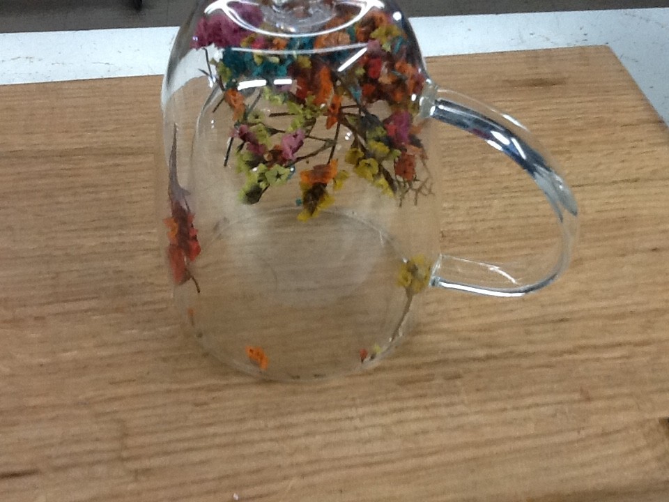 Dried Flowers Glass Mug Double Wall Coffee Tea Cup Botanical Floral Fun Gift