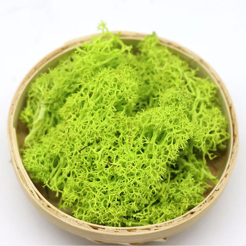 200/500g Artificial Green Plants Fake Grass Eternal Moss For Home Decoration NEW