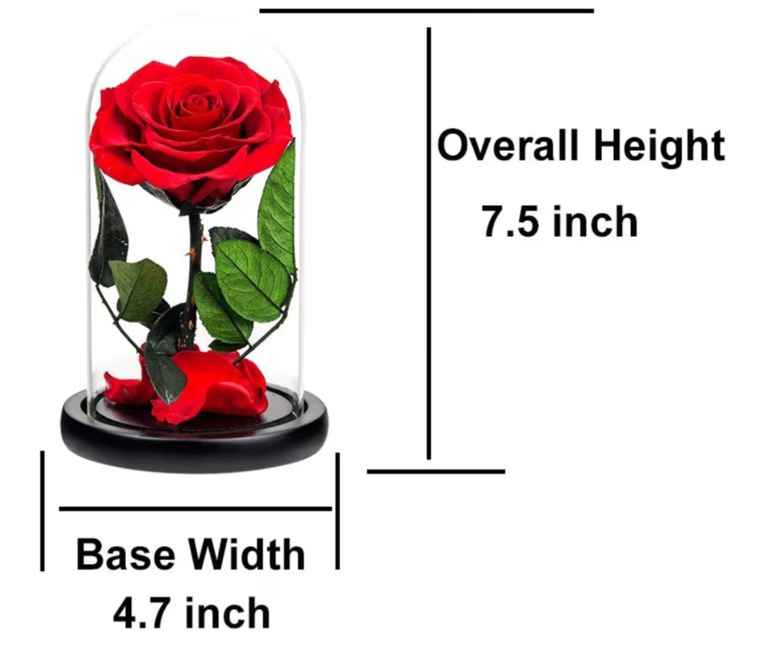 Livoccur Preserved RED ROSE in Glass DOME 4.7″×4.7″×7.5″ Stand