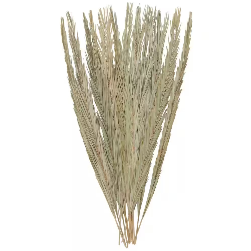 61 In. Tall Natural Foliage with Grass (One Bundle)