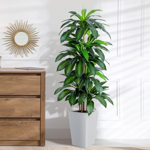 Artificial Dracaena Tree with White Tall Planter, 5ft Tall Dracaena Plant