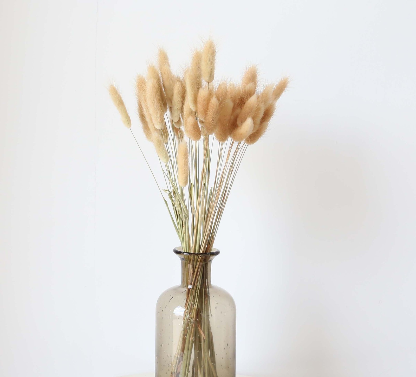 100 Stems Dried Pampas Grass, Boho Table Decor Natural Reed 100 PCS, White